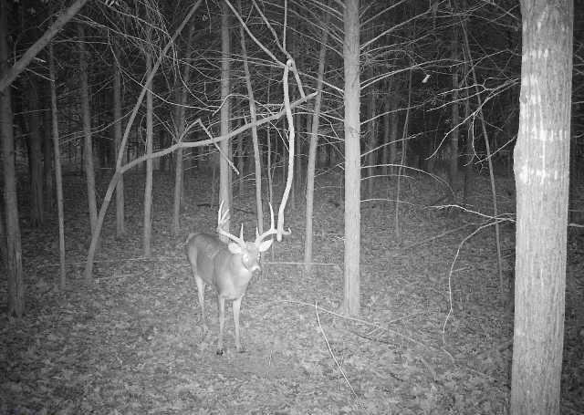 Nash Road, Black River Falls, Wisconsin image 3