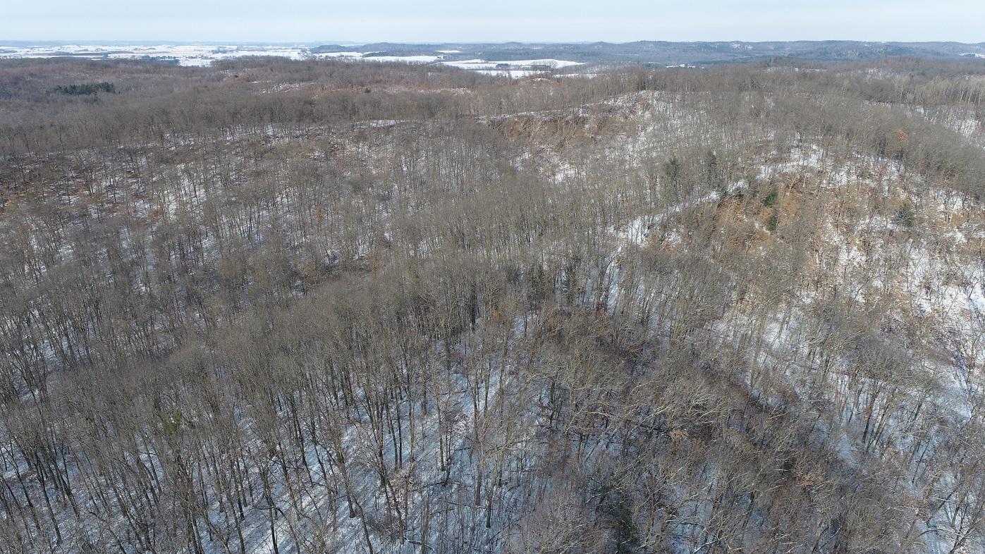 Nash Road, Black River Falls, Wisconsin image 20