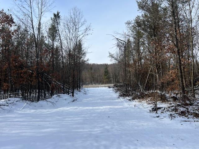 Nash Road, Black River Falls, Wisconsin image 21