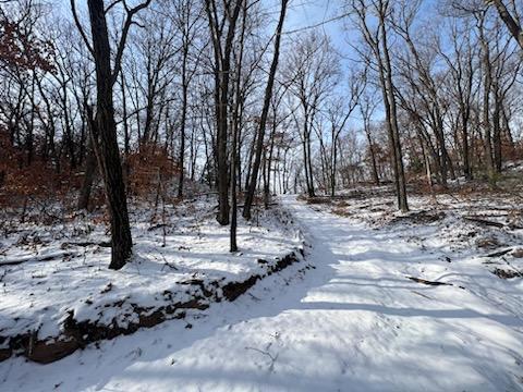 Nash Road, Black River Falls, Wisconsin image 5