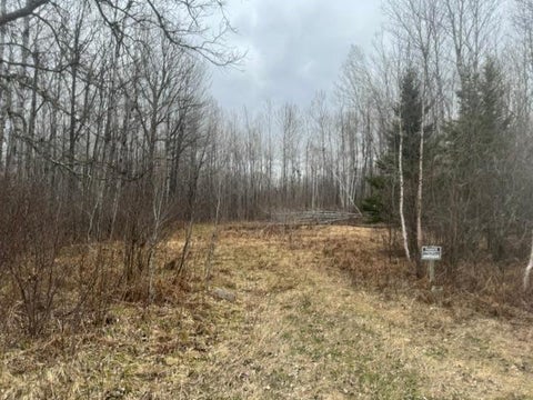 Vacant Land For Sale - XXX Frazer Road<br/> Deer River, MN 56631