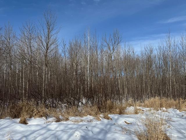 TBD County Road 61, Carlton, Minnesota image 8