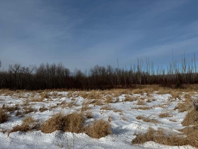 TBD County Road 61, Carlton, Minnesota image 2