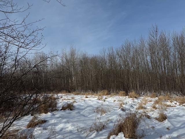 TBD County Road 61, Carlton, Minnesota image 4