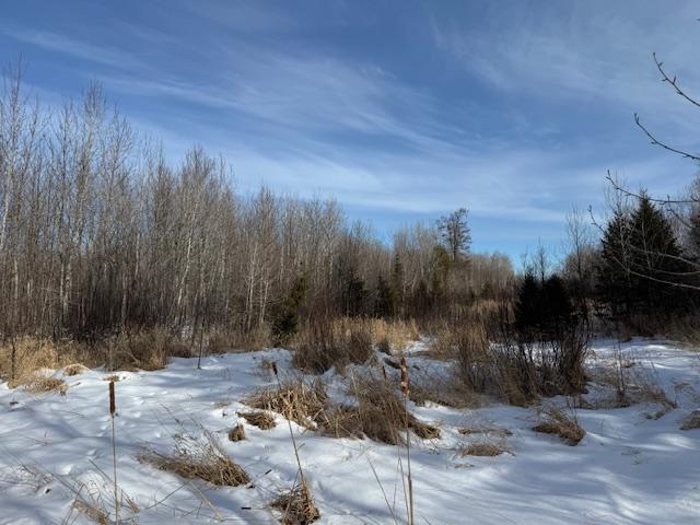 TBD County Road 61, Carlton, Minnesota image 7