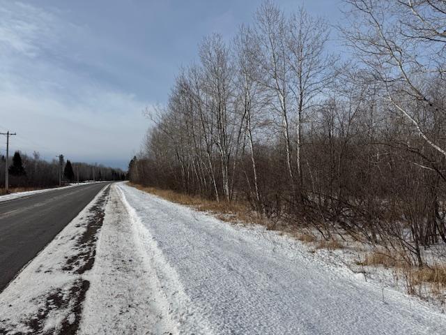 TBD County Road 61, Carlton, Minnesota image 3