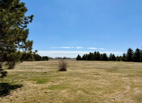 Vacant Land For Sale - TBD Elk Loop<br/> Todd County, Long Prairie, MN 56347