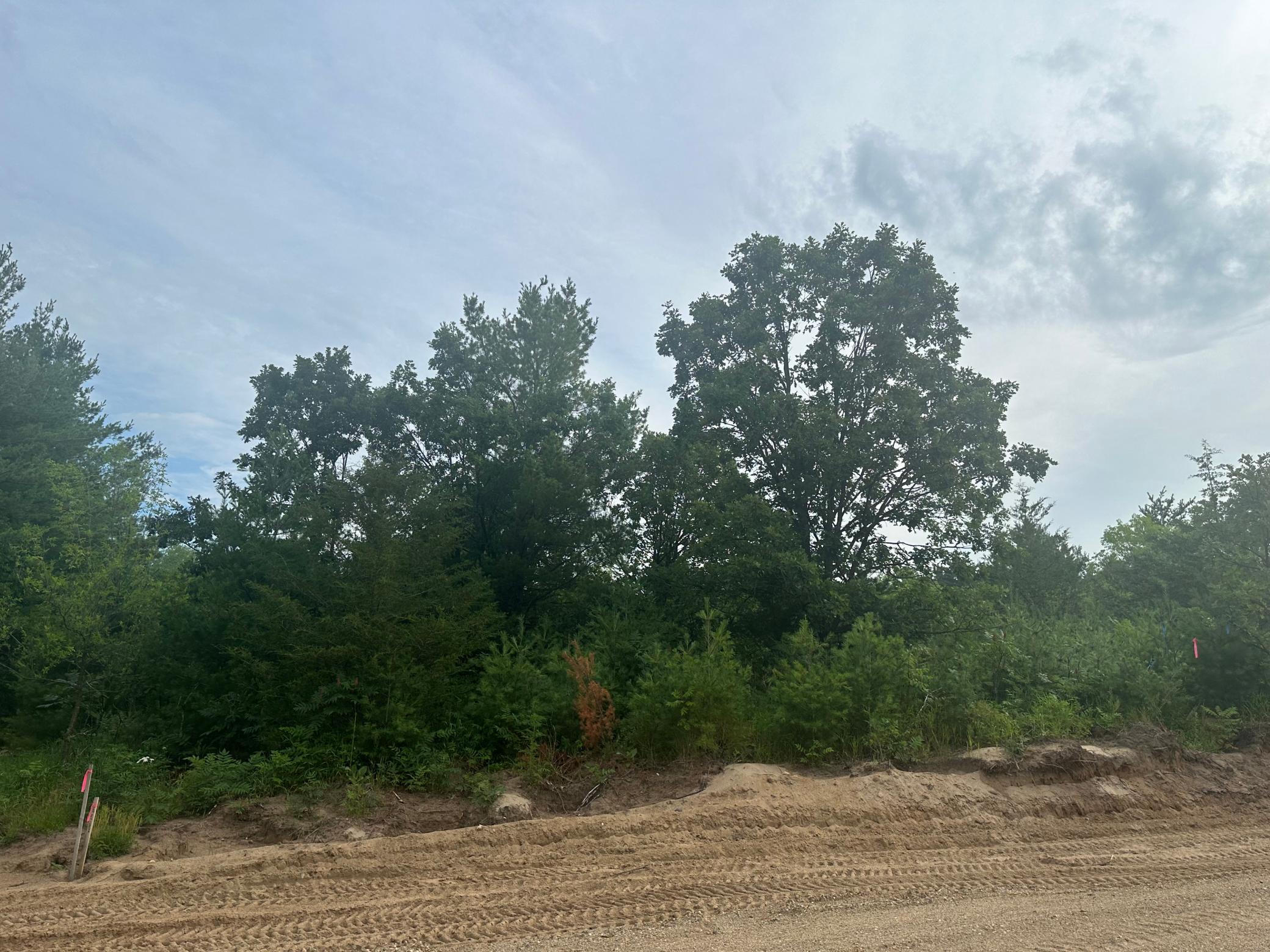 Lot 6 Blk 1 Brummer Drive, Randall, Minnesota image 1