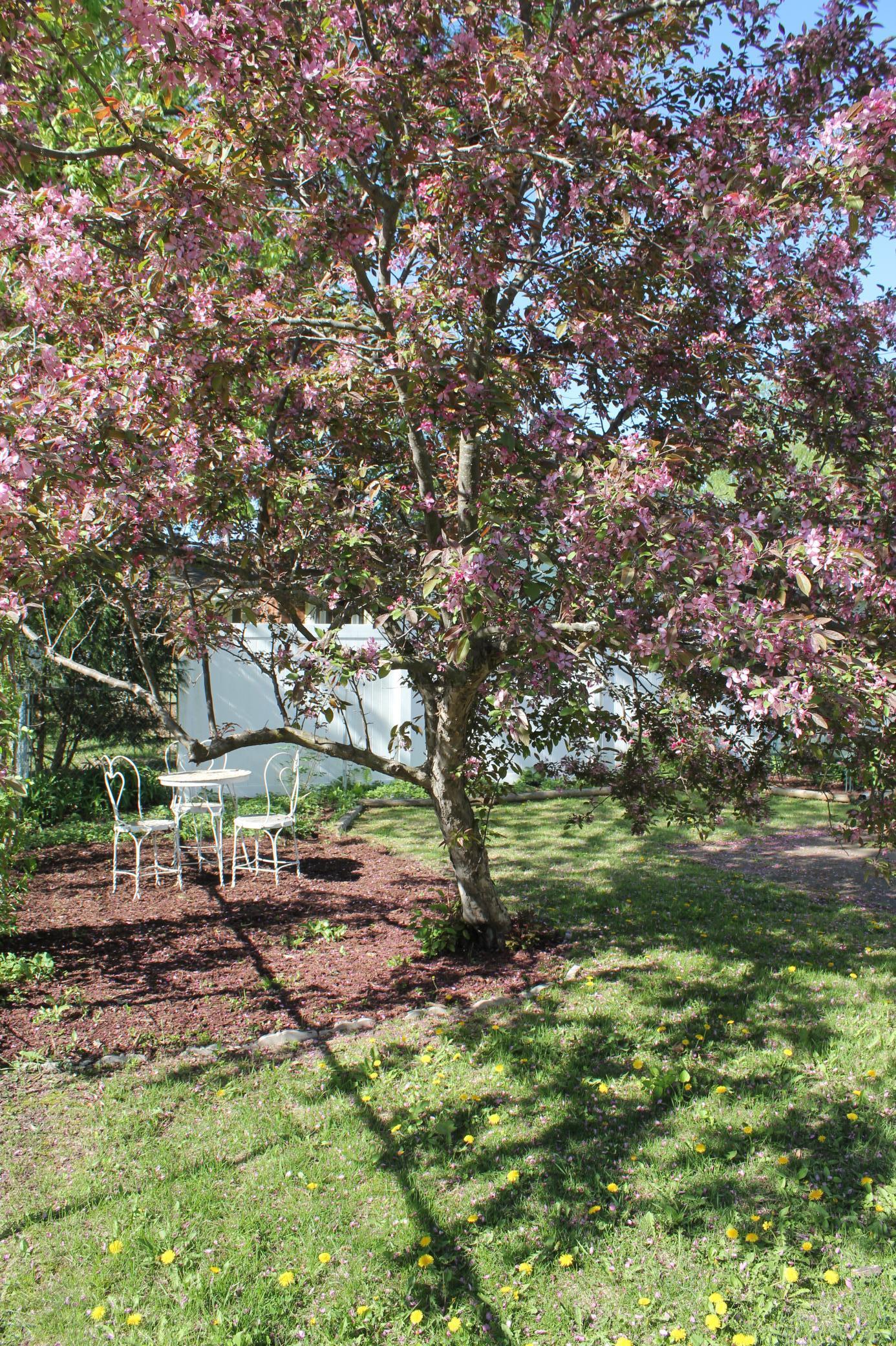 2222 Apache Street, Mendota Heights, Minnesota image 36