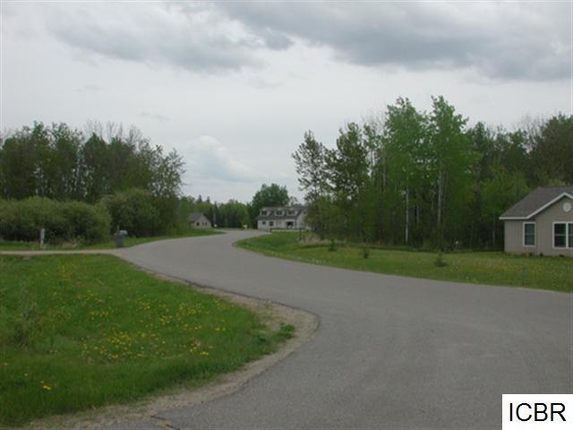 Lt 3 Blk 2 Tamarack Ln, Deer River, Minnesota image 6