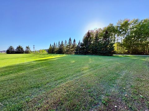 Vacant Land For Sale - TBD 28th St Nw<br/> Baudette, MN 56623