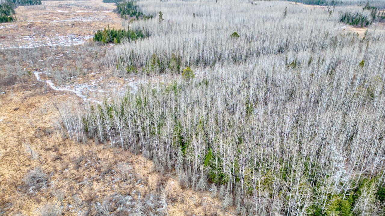 5260 Long Lake Road, Makinen, Minnesota image 39