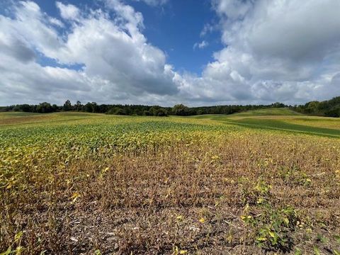 Vacant Land For Sale - TBD Placid Dr<br/> Dent, MN 56573