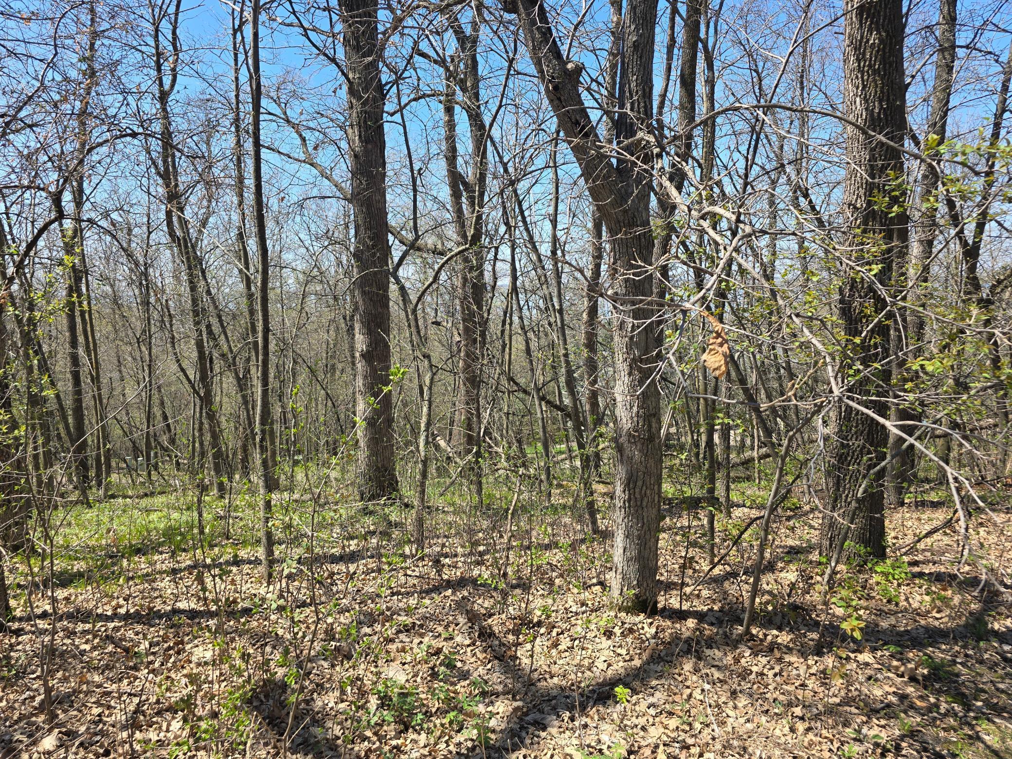 Lot 2 Oak Turn Again Court, Glenwood, Minnesota image 11