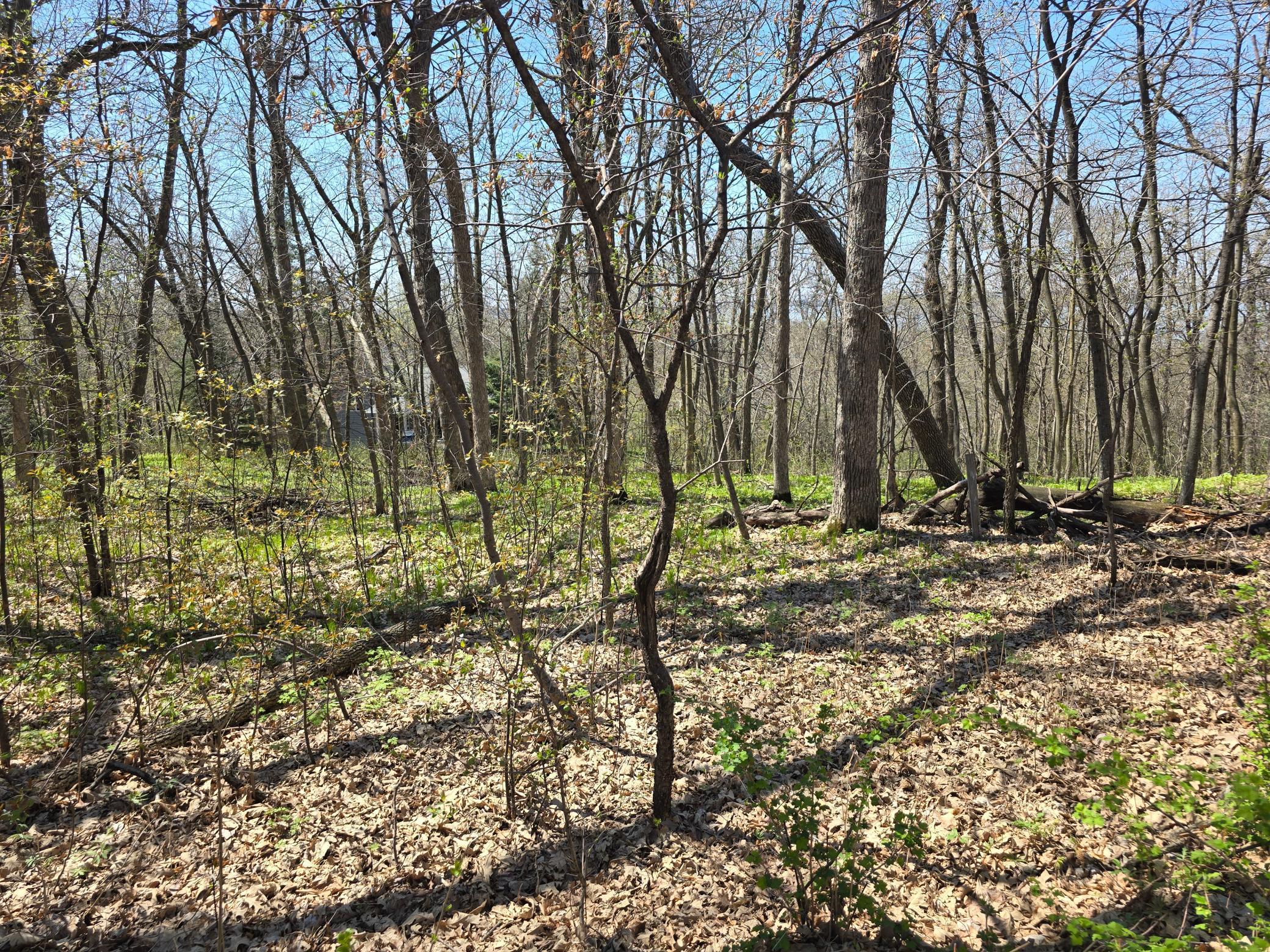 Lot 2 Oak Turn Again Court, Glenwood, Minnesota image 12