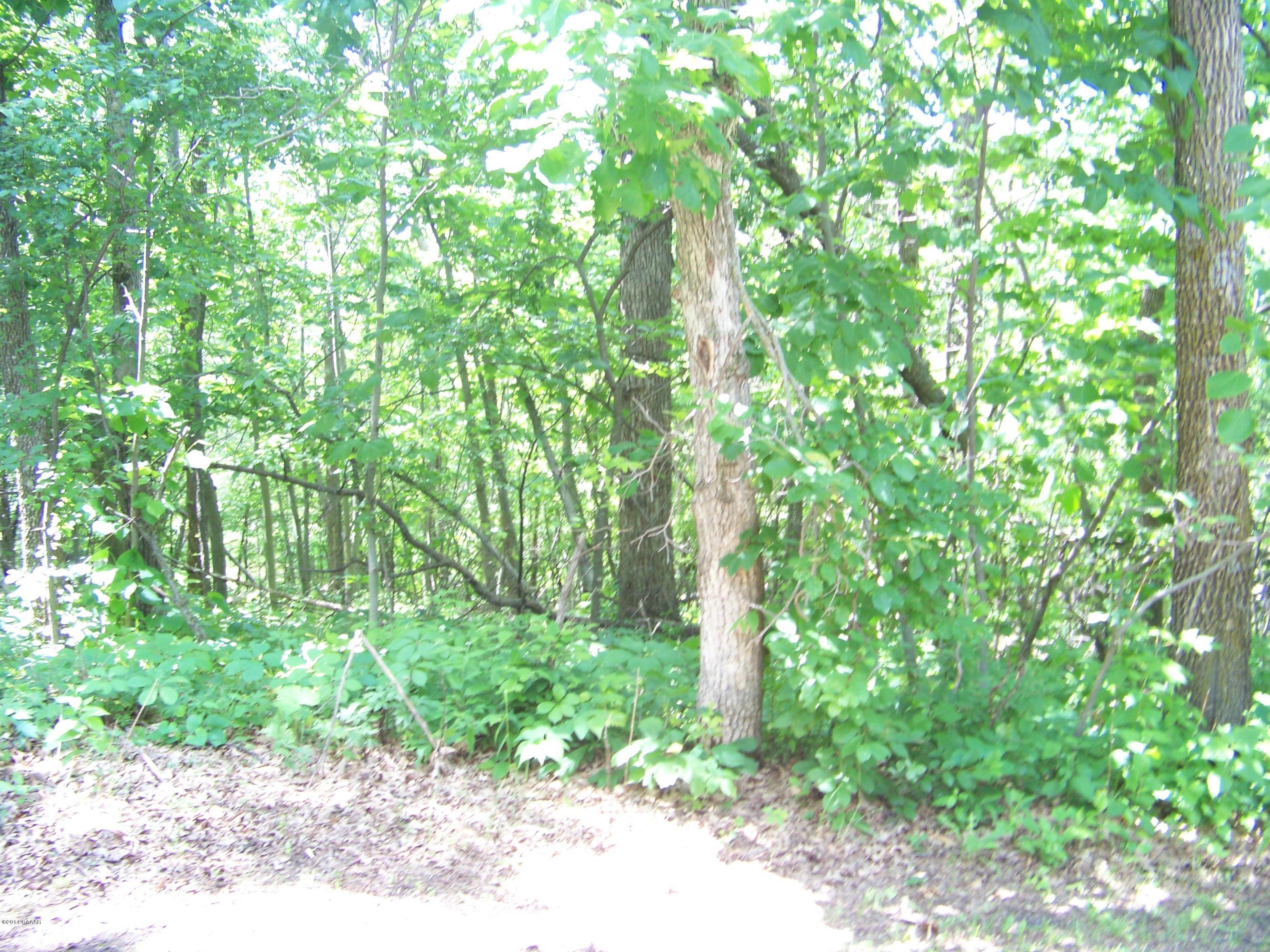 Lot 2 Oak Turn Again Court, Glenwood, Minnesota image 6