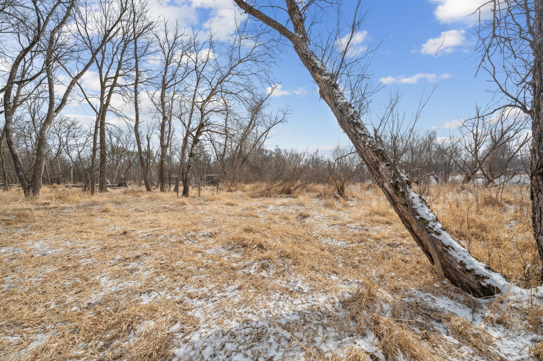 Xxxx Pinewood Road, Rochester, Minnesota image 18