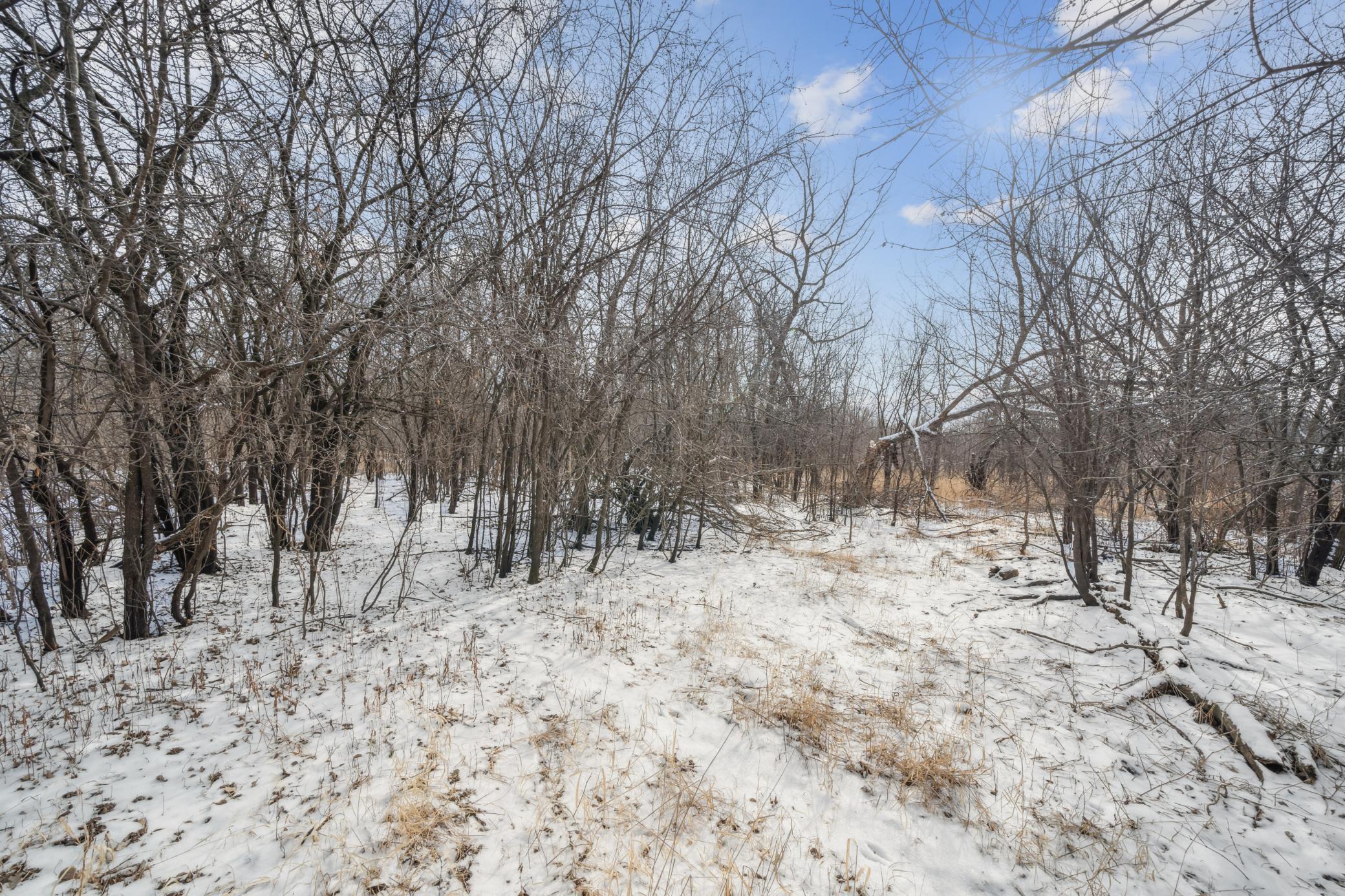 Xxxx Pinewood Road, Rochester, Minnesota image 3