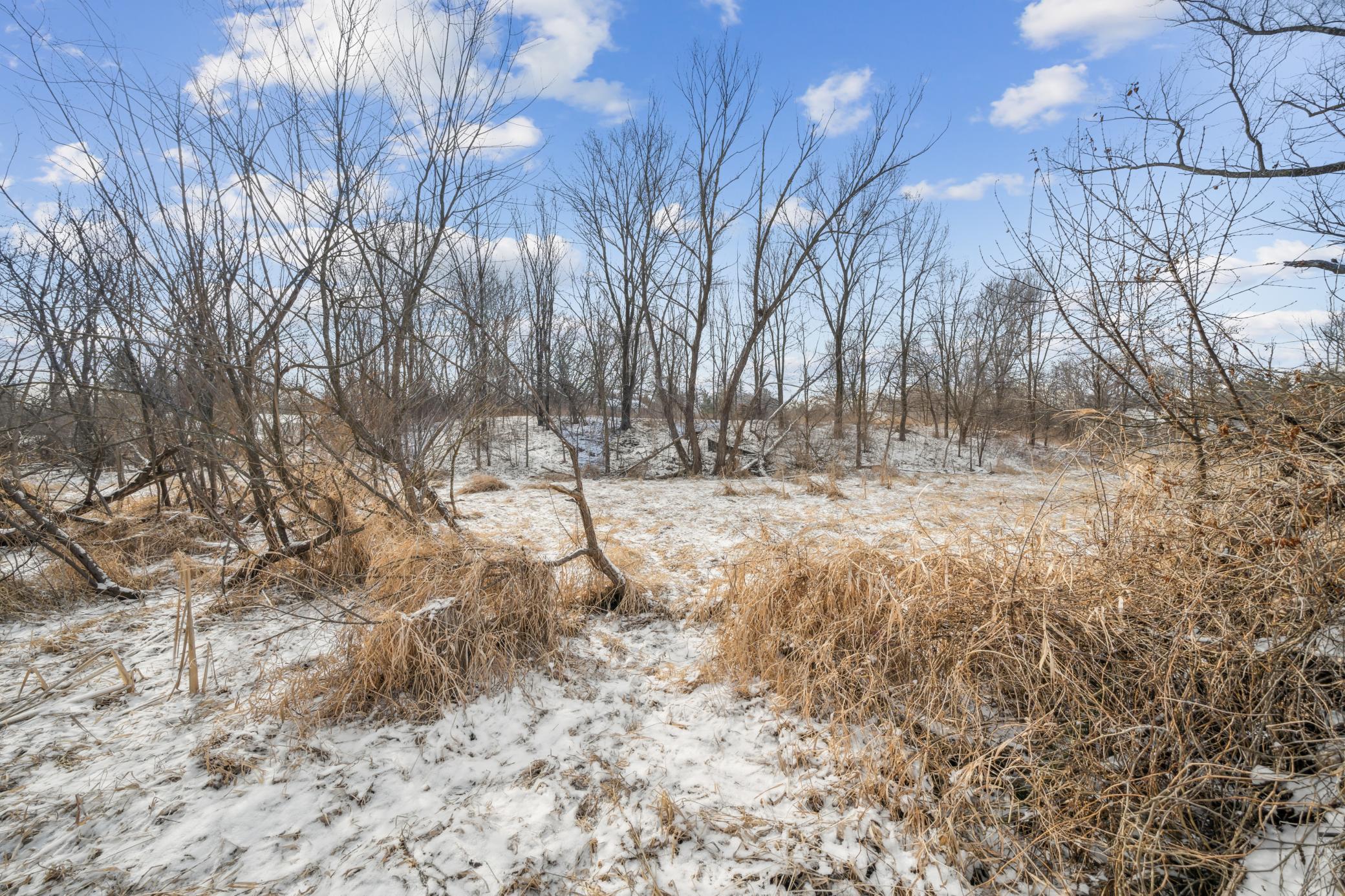 Xxxx Pinewood Road, Rochester, Minnesota image 8