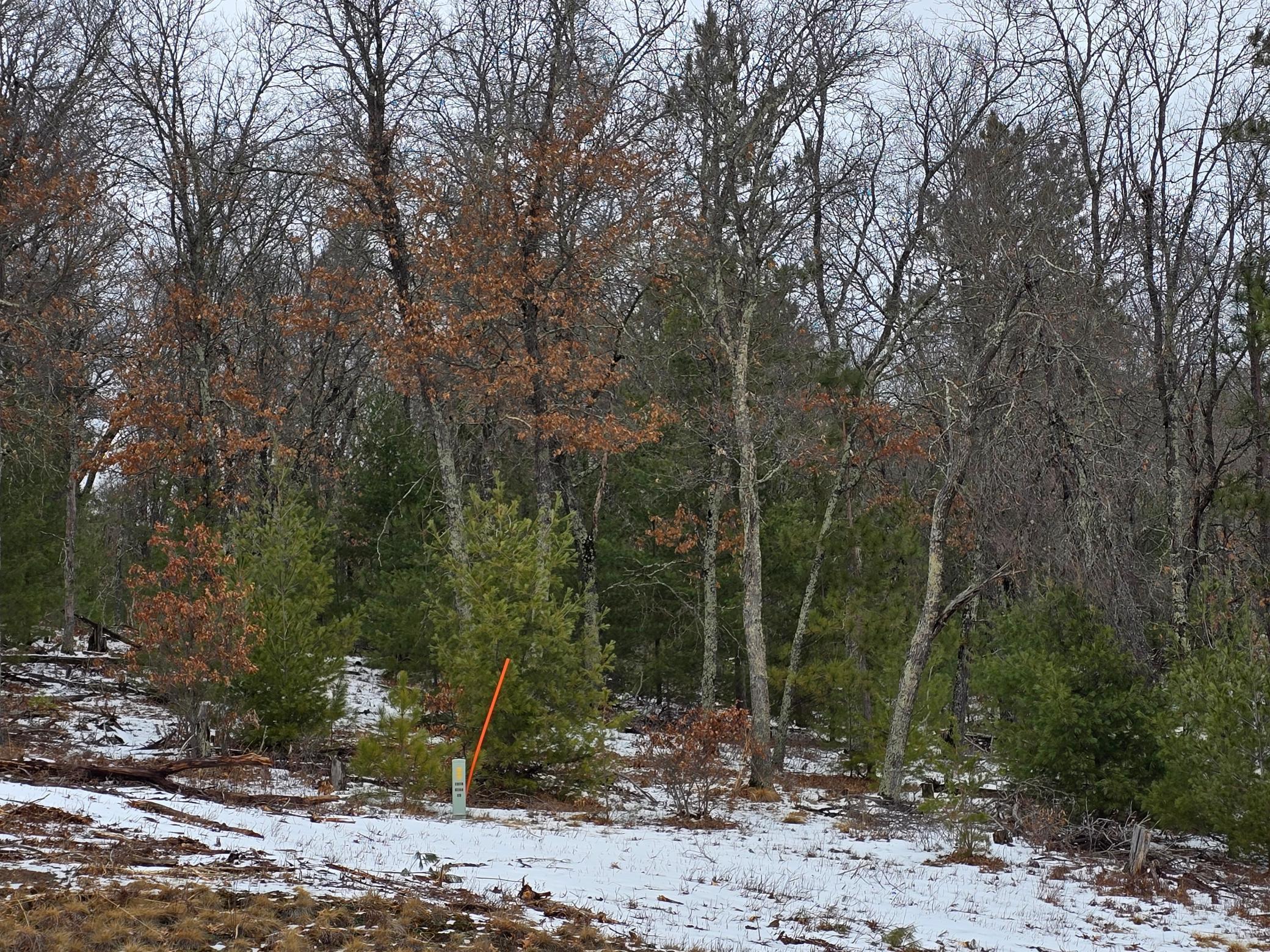 Lot 1 State Road 77, Danbury, Wisconsin image 3