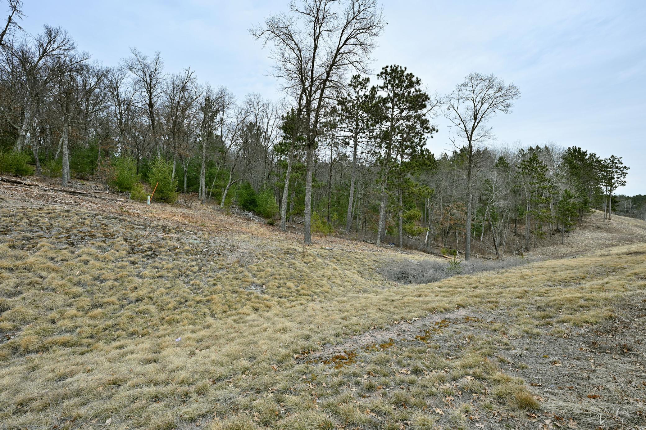 Lot 1 State Road 77, Danbury, Wisconsin image 1