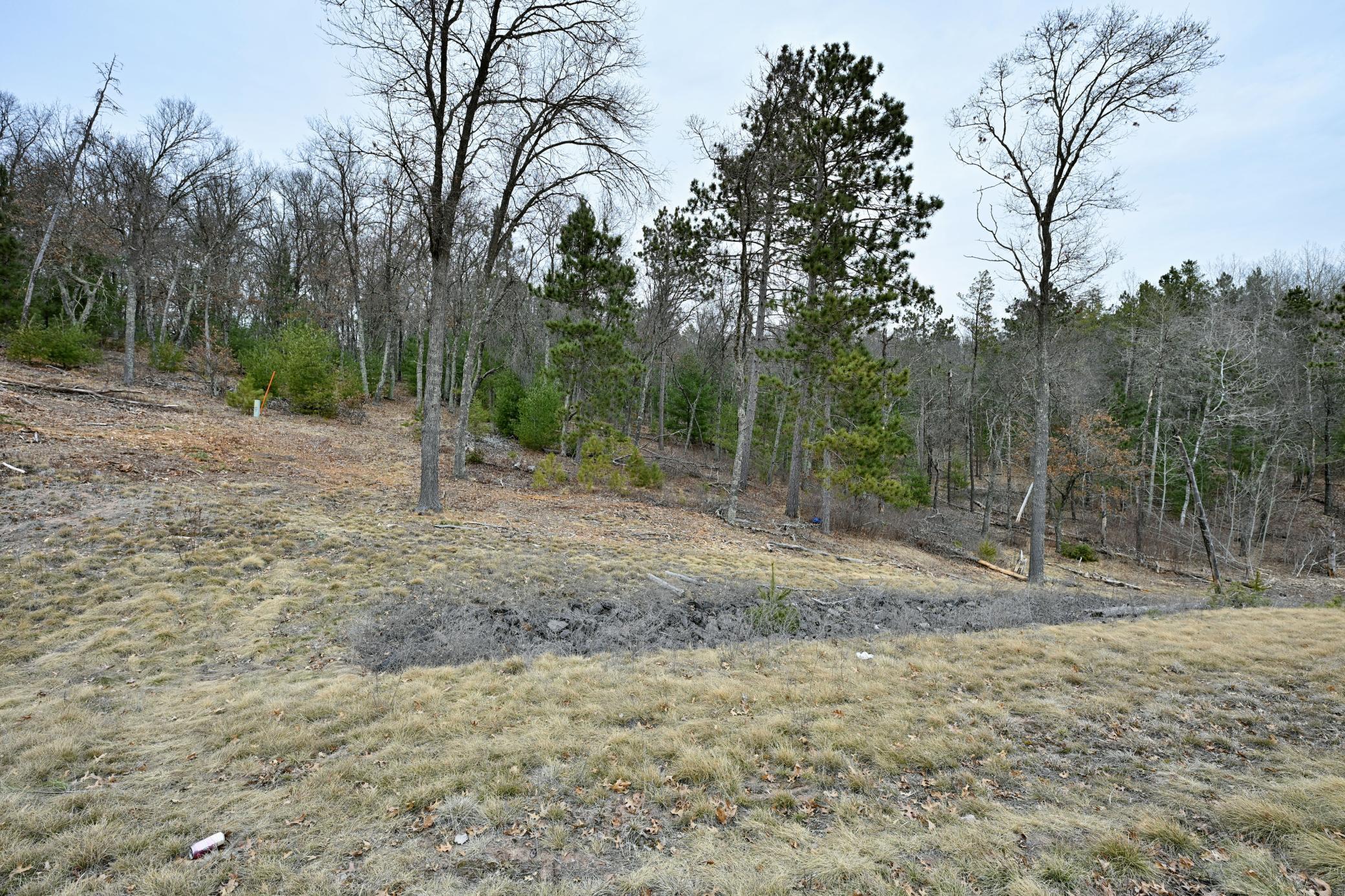 Lot 1 State Road 77, Danbury, Wisconsin image 8
