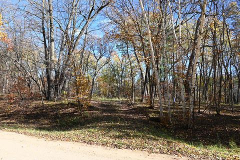 Vacant Land For Sale - 39906 Pine Island Pt Drive<br/> Todd County, Browerville, MN 56438