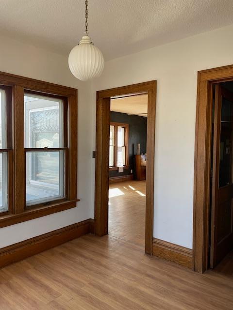 207 S Lake Street, Belview, Minnesota image 47