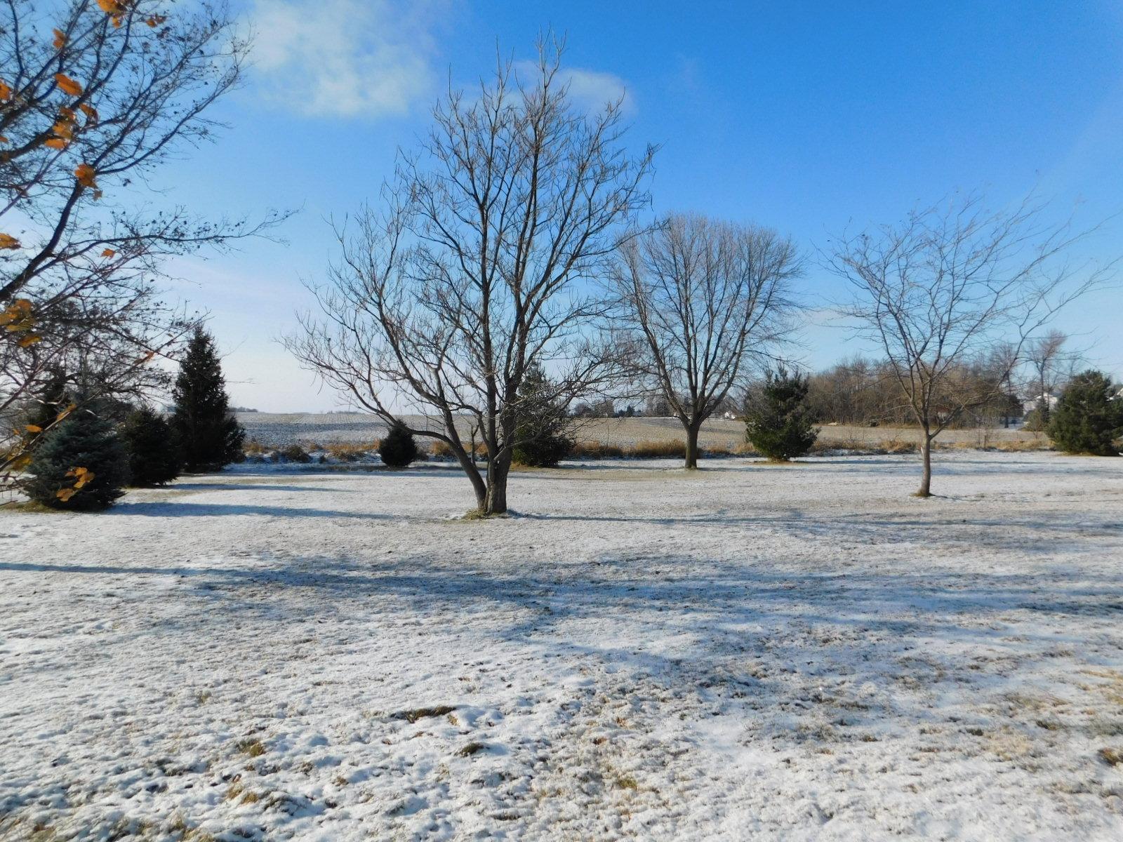 207 S Lake Street, Belview, Minnesota image 30