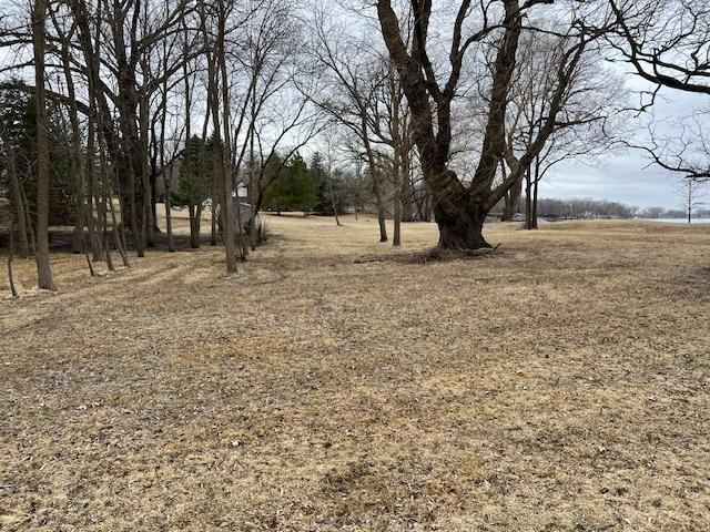 19467 624 Avenue, Litchfield, Minnesota image 5