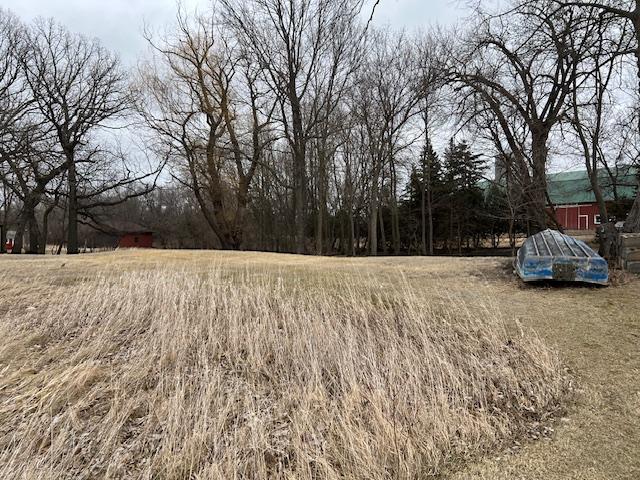 19467 624 Avenue, Litchfield, Minnesota image 3