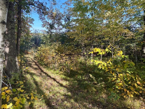 Vacant Land For Sale - TBD 248th Place<br/> Aitkin County, Mcgregor, MN 55760