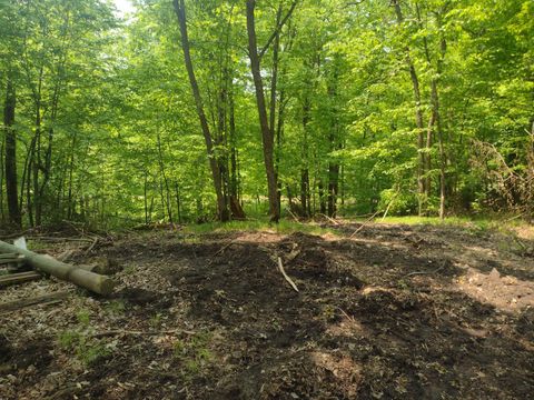 Vacant Land For Sale - LOT 8 BLOCK 2 Crystal Beach Road<br/> Pelican Rapids, MN 56572