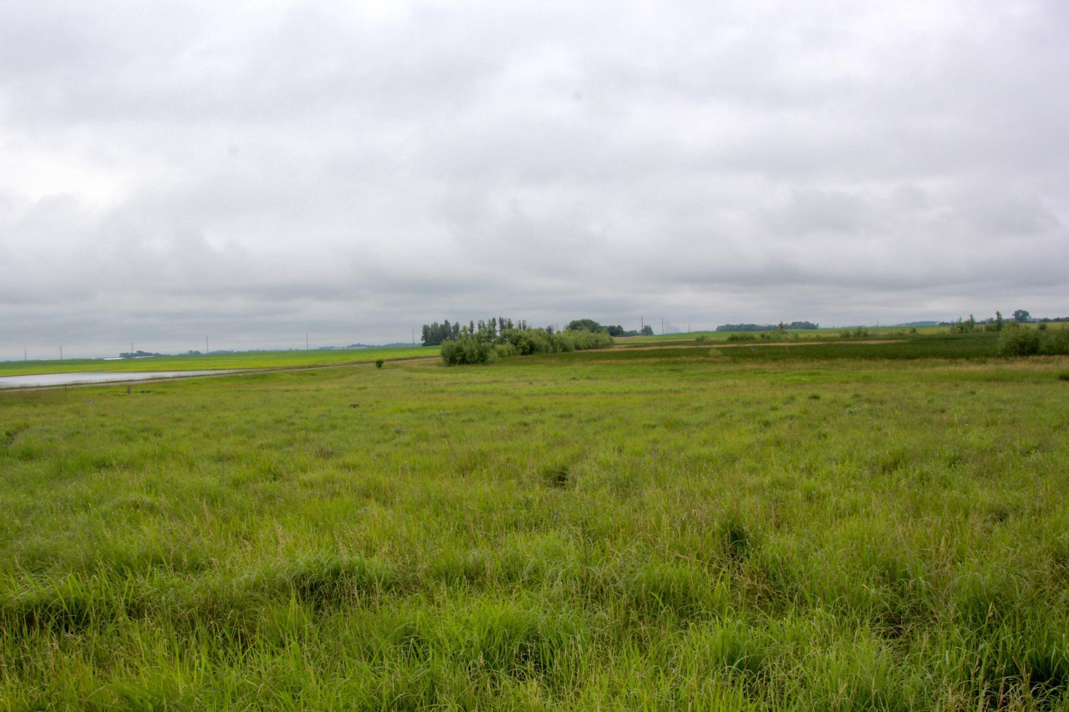 XXX 130th Avenue, Welcome, Minnesota image 16