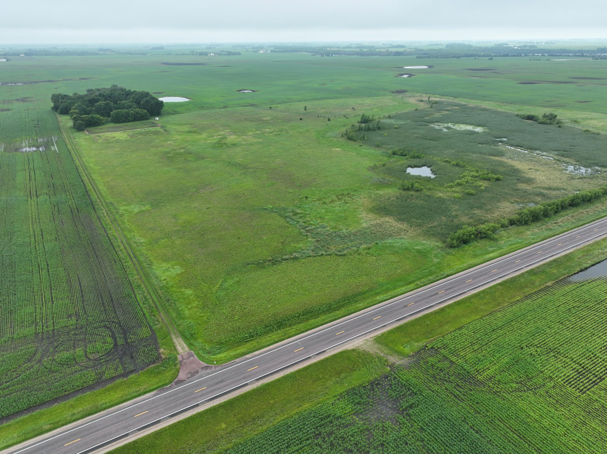 XXX 130th Avenue, Welcome, Minnesota image 4