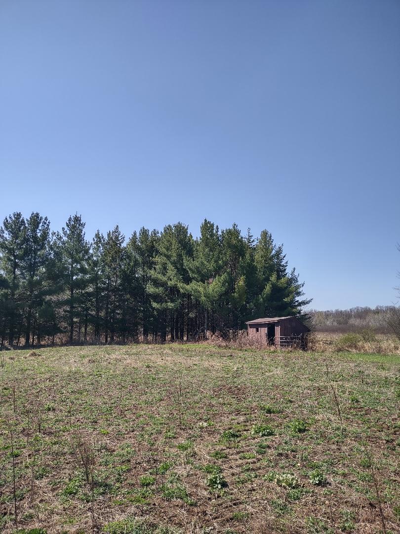 XXX Us Hwy 8, Almena, Wisconsin image 22