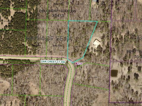 Vacant Land For Sale - LOT 10 Oak Crest Court<br/> Backus, MN 56435