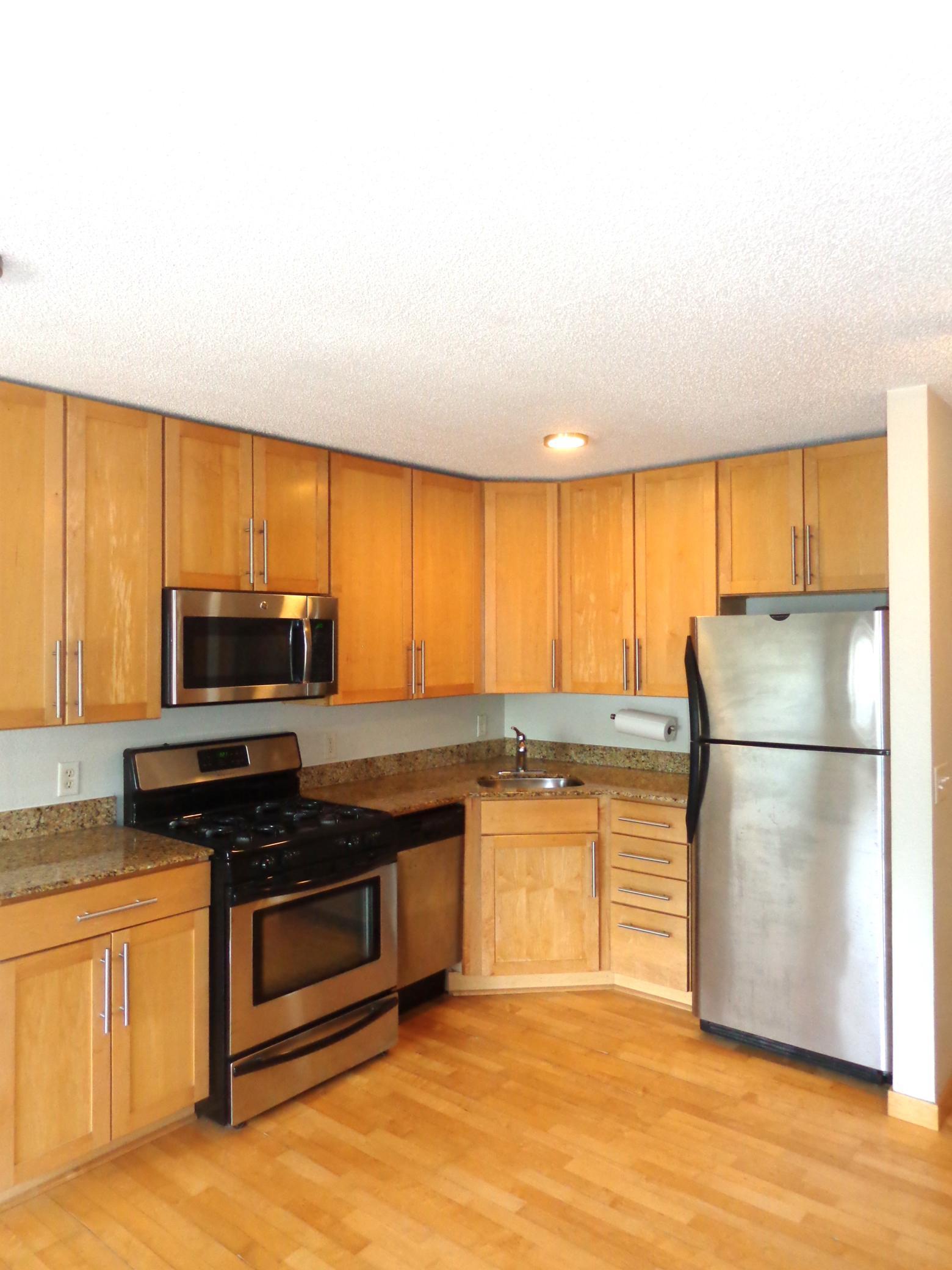2530 1st Avenue #N202, Minneapolis, Minnesota image 3