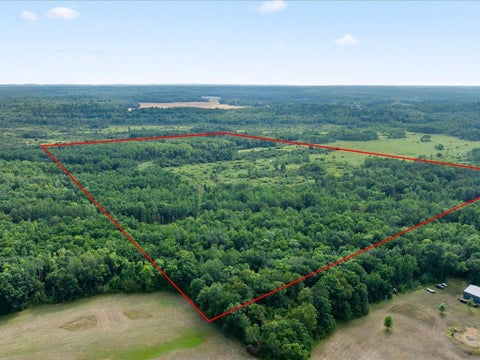 Vacant Land For Sale - TBD Azalea Road<br/> Morrison County, Motley, MN 56466