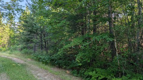 Vacant Land For Sale - LOT B Hwy. 24<br/> Orr, MN 55771
