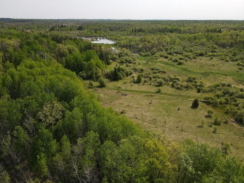 Vacant Land For Sale - 67552 Tranquility Trl Trl<br/> Effie, MN 56639