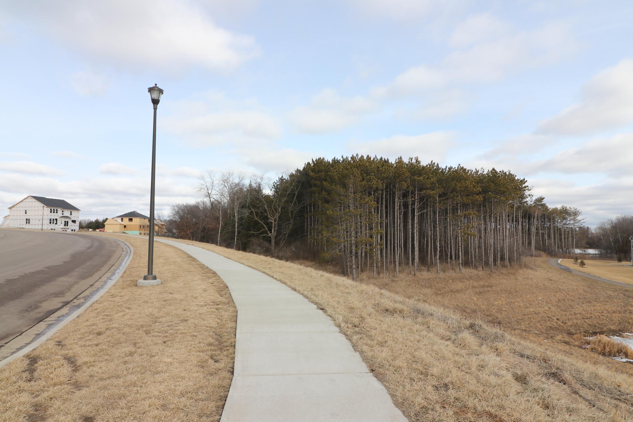 6259 Highland Hills Lane, Cottage Grove, Minnesota image 18