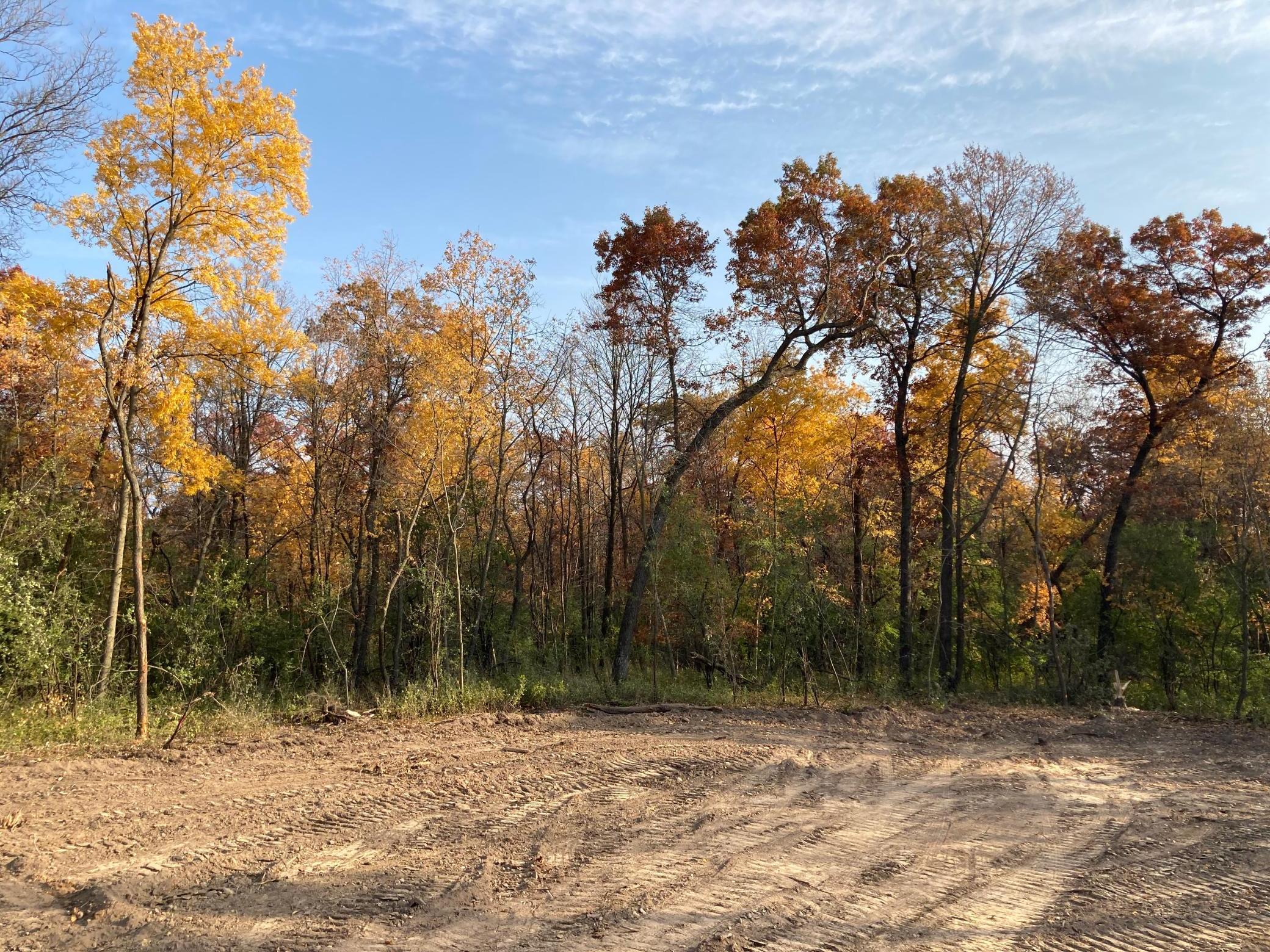 3177 Glenwood Road, Rochester, Minnesota image 6