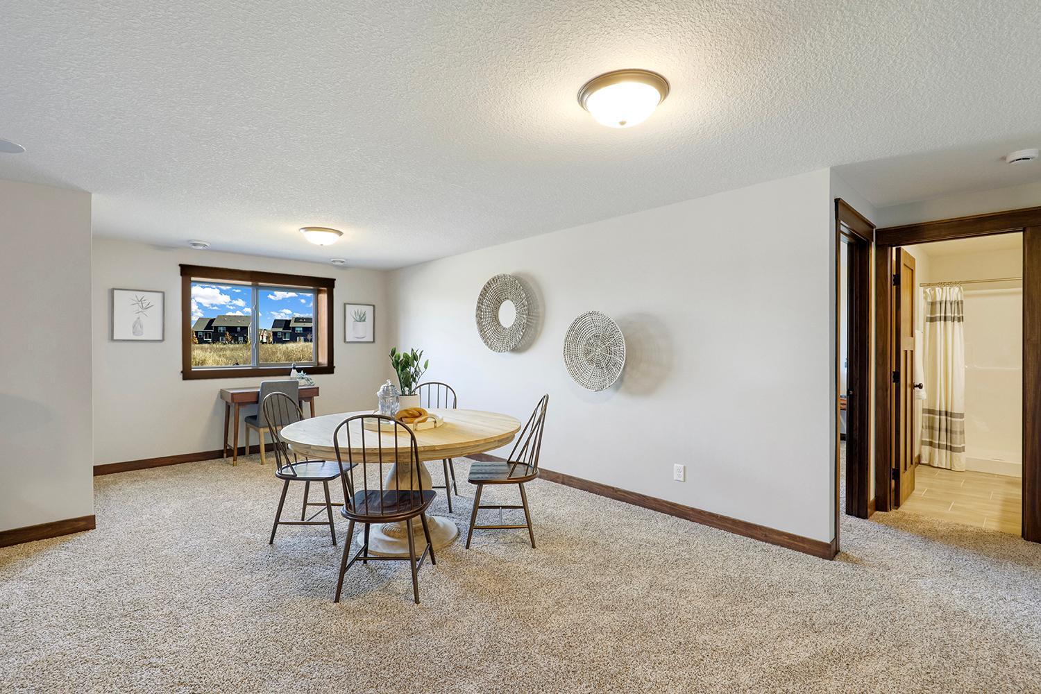 16123 Europa Avenue, Hugo, Minnesota image 38