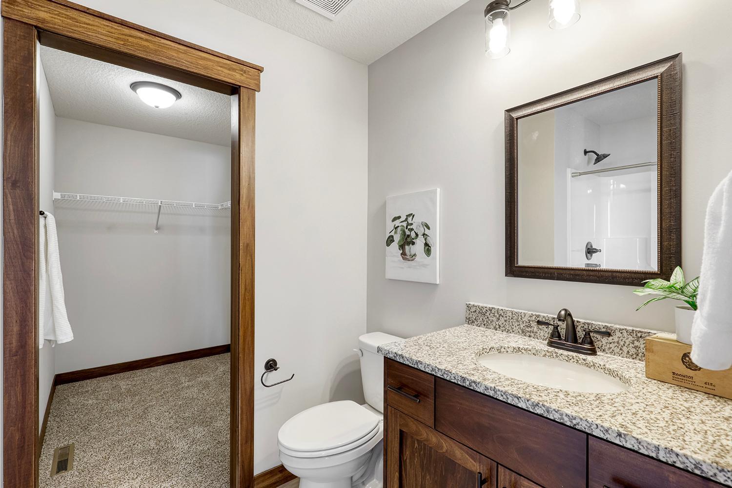 16123 Europa Avenue, Hugo, Minnesota image 33