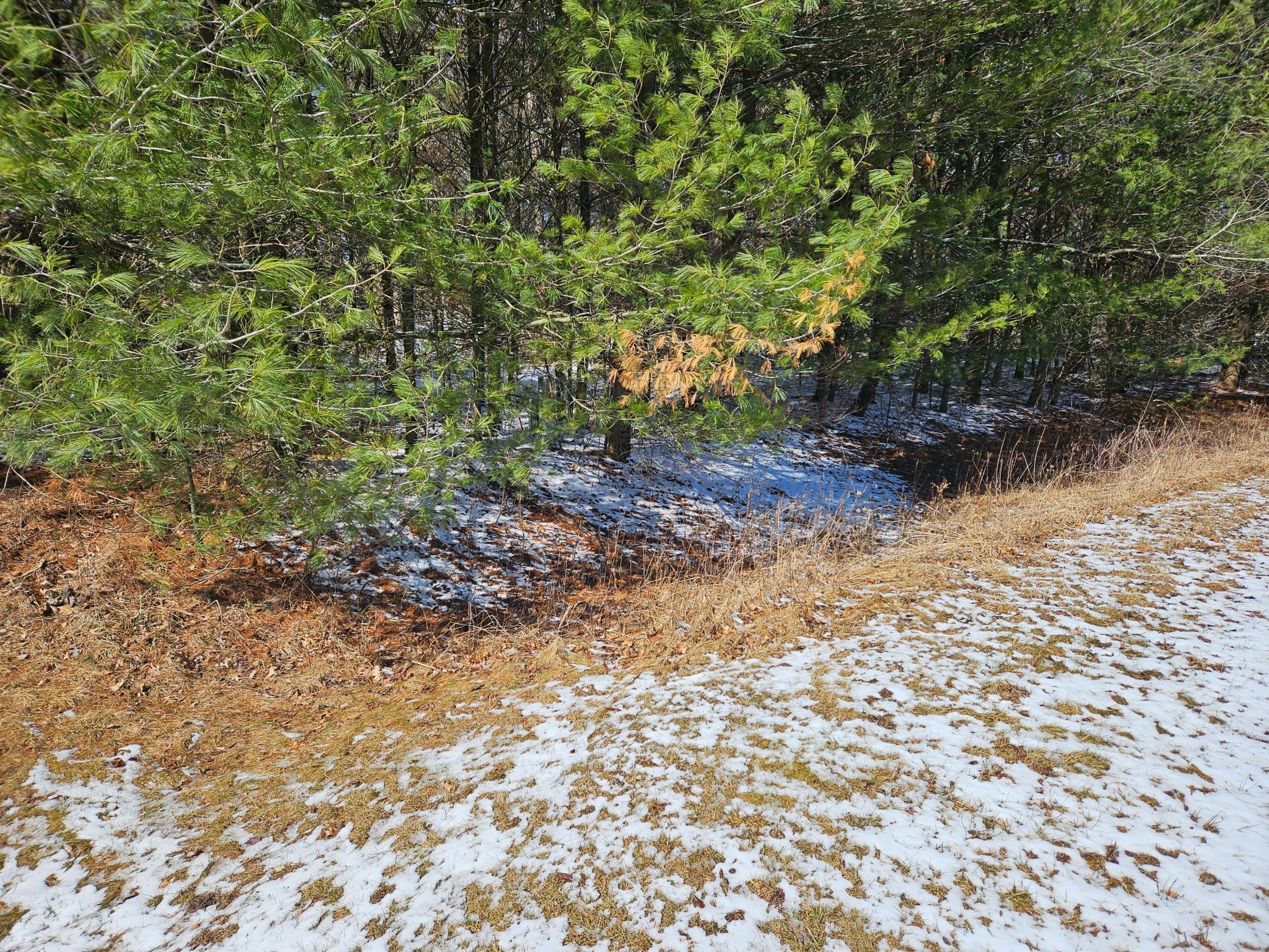 Lot 34 35 & 36 549th Street, Menomonie, Wisconsin image 8