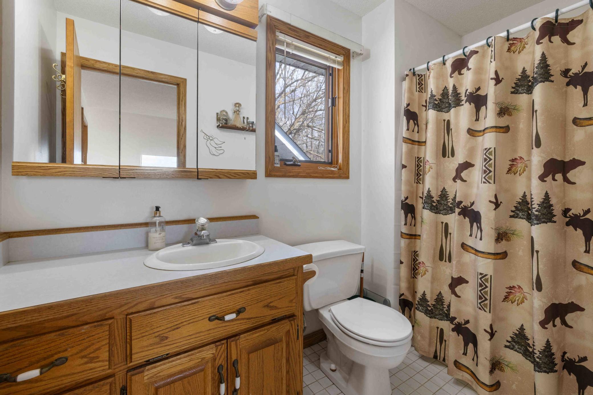 34470 Spruce Lane, Pequot Lakes, Minnesota image 16