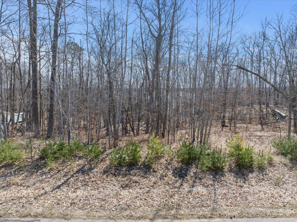22311 Shadow Point, Emily, Minnesota image 12