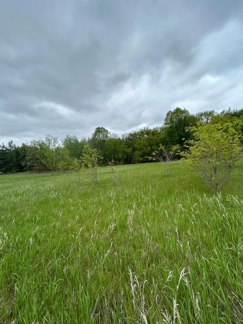 Vacant Land For Sale - XXX Calico Trail<br/> Motley, MN 56466