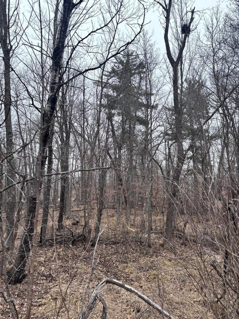 Vacant Land For Sale - 79XX Golf Estates Drive<br/> Crow Wing County, Pequot Lakes, MN 56472